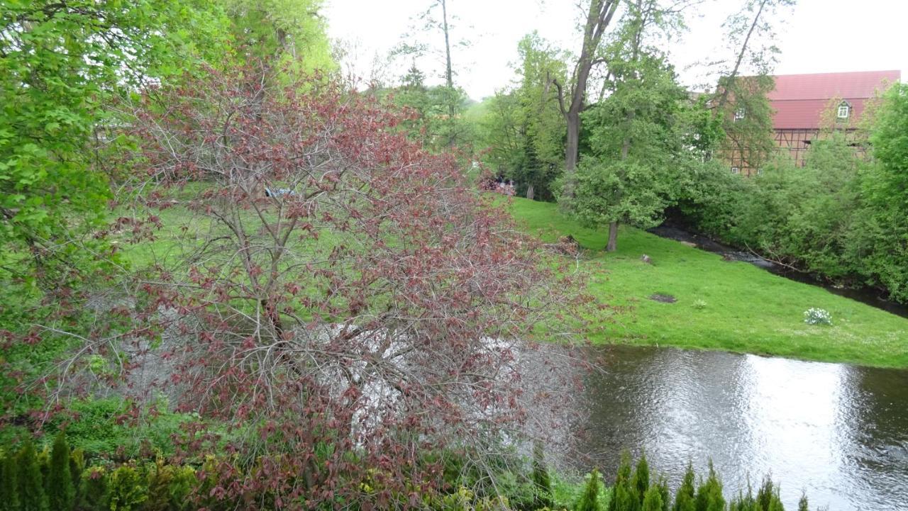 Villa An Der Bode Thale Dış mekan fotoğraf